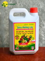 Siêu Dưỡng Cây