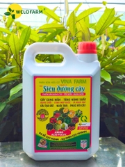 Siêu Dưỡng Cây