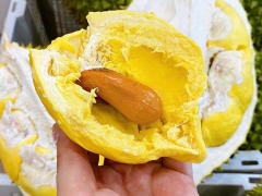 Sầu Riêng Ri 6