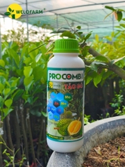 Procombi Tảo Đỏ 1L