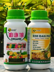 BỘ HỖ TRỢ SỬA TƯỚNG TRÁI