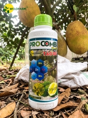 Pro Combi Plus Tảo Đỏ