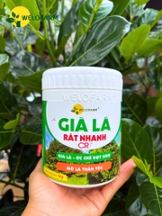 Già Lá Rất Nhanh