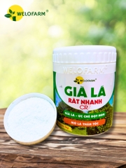 Già Lá Rất Nhanh