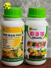 BỘ HỖ TRỢ SỬA TƯỚNG TRÁI
