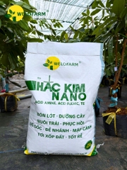 Hắc Kim Nano