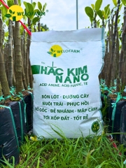 Hắc Kim Nano