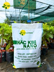 Hắc Kim Nano