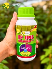 Up One Nano Welofarm