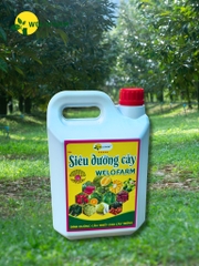 Siêu Dưỡng Cây