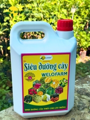 Siêu Dưỡng Cây