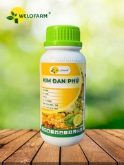 Kim Đan Phú