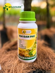 Kim Đan Phú