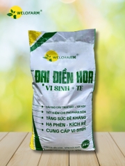 Đại Điền Hoa