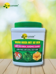 Chống Mít Xơ Đen