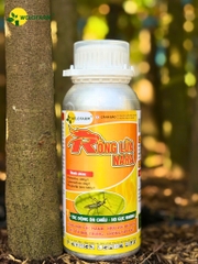 Rồng Lửa NaRa