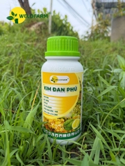 Kim Đan Phú