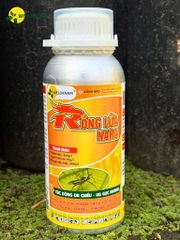 Rồng Lửa NaRa