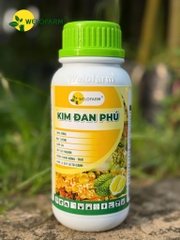 Kim Đan Phú