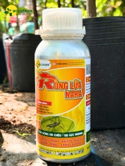 Rồng Lửa NaRa