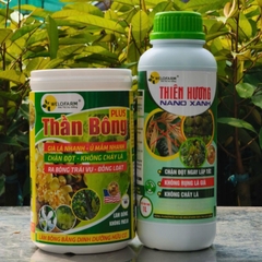 Bộ Đôi LÀm Già Lá - Xử Lý Bông Mùa Mưa