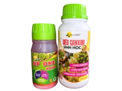 BỘ CHỐNG RỤNG BÔNG RỤNG TRÁI NON SẦU RIÊNG