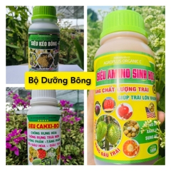 BỘ DƯỠNG BÔNG