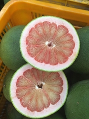Bưởi Da Xanh Chiết