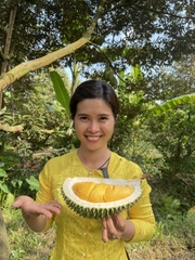Sầu riêng Hoàng Châu Long