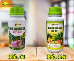 Welofarm Rồng Xanh