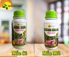 Welofarm Rồng Xanh Kéo Đọt