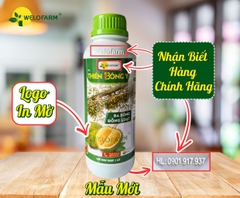 Thiên Bông Ý
