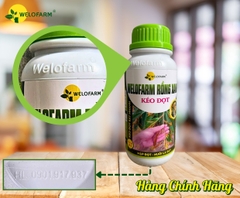 Welofarm Rồng Xanh Kéo Đọt