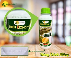 Thiên Bông Ý