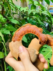 Me Thái