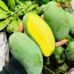Xoài Thái