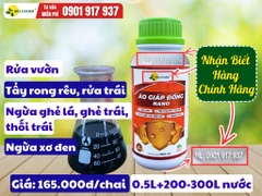 Áo Giáp Đồng Nano