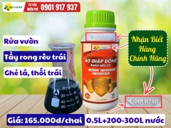 Áo Giáp Đồng Nano Hữu Cơ