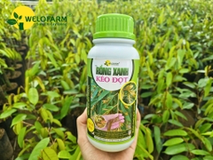 Rồng Xanh Kéo Đọt