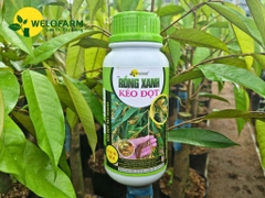 Rồng Xanh Kéo Đọt