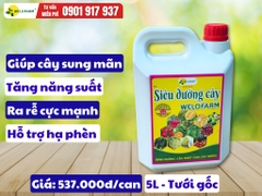 Siêu Dưỡng Cây