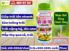 Siêu Lớn Trái USA