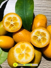 Tắc Mỹ (Ngọt)