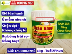 Thần Bông