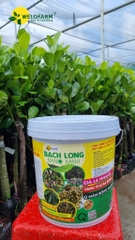 Bạch Long Nano Xanh 10Kg