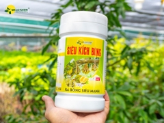 Siêu Kích Bông
