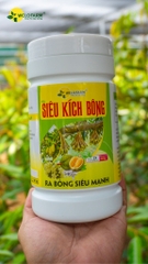 Siêu Kích Bông