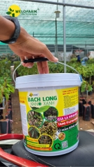 Bạch Long Nano Xanh 10Kg