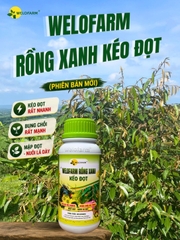 Welofarm Rồng Xanh