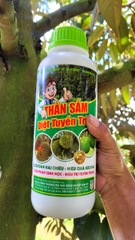 1L - Thần Sấm Diệt Tuyến Trùng